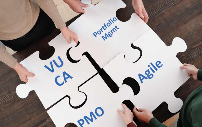 Navigating a VUCA World through Delivery Agility
